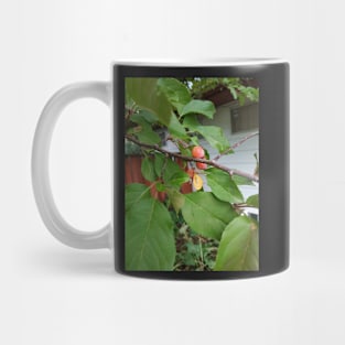 Young Crab Apple Mug